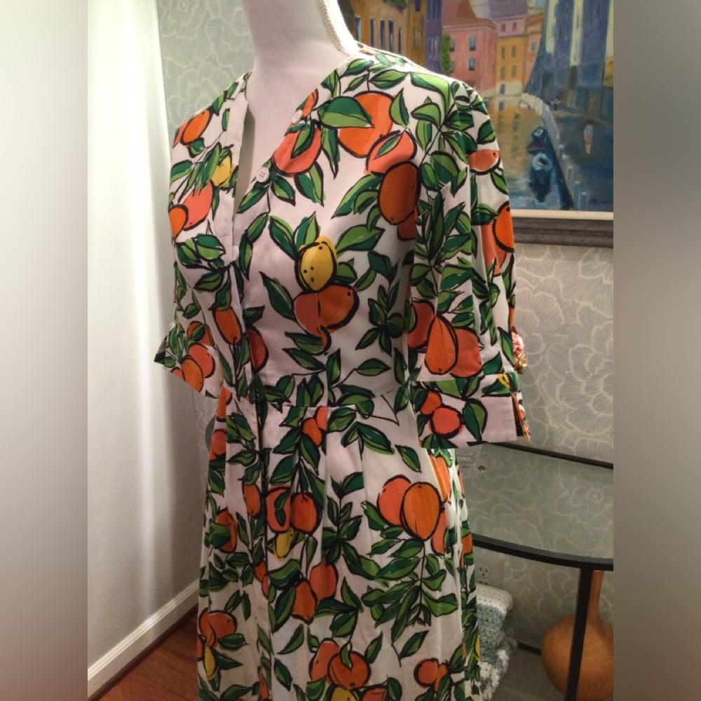 PRICE DROP! Gorgeous Citrus Print Dress w pockets - Picture 15 of 16